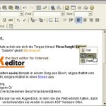 fckEditor fckEditor